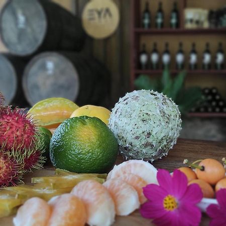 Eya Ecolodge San Isidro De El General 외부 사진