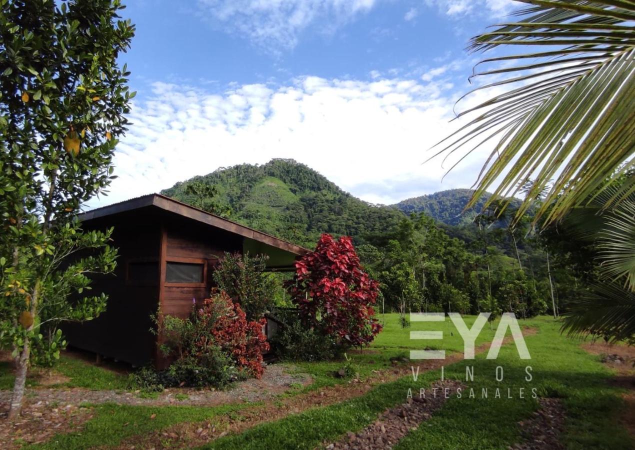 Eya Ecolodge San Isidro De El General 외부 사진