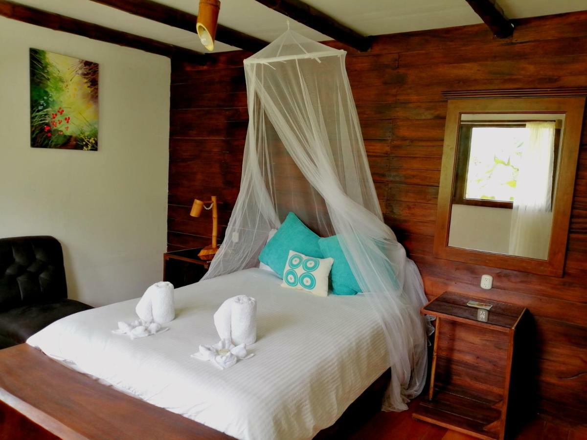 Eya Ecolodge San Isidro De El General 객실 사진